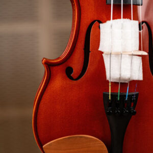 ویولن فونیکس مدل phoenix Violin VP101 E 4/4