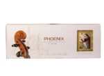 ویولن فونیکس مدل phoenix Violin VP101 E 4/4